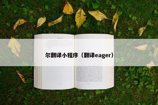 尔翻译小程序（翻译eager）
