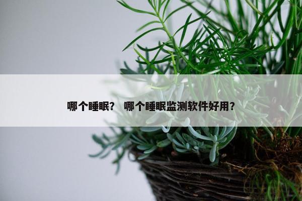 哪个睡眠？ 哪个睡眠监测软件好用？