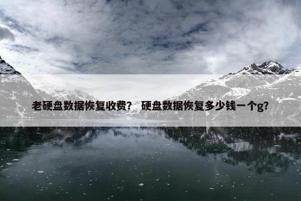 老硬盘数据恢复收费？ 硬盘数据恢复多少钱一个g？