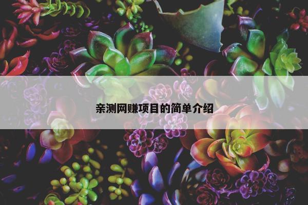 亲测网赚项目的简单介绍