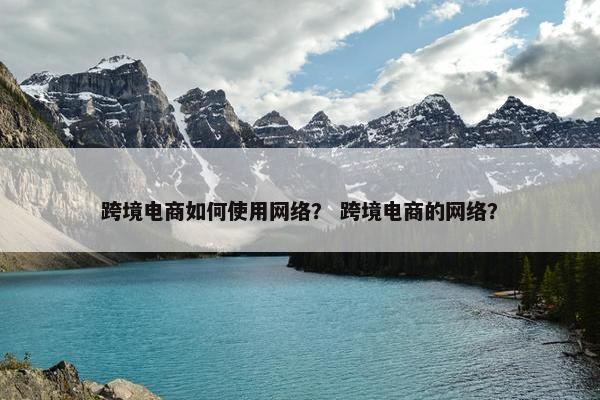 跨境电商如何使用网络？ 跨境电商的网络？