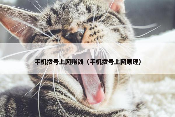 手机拨号上网赚钱（手机拨号上网原理）