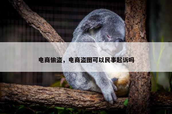 电商偷盗，电商盗图可以民事起诉吗