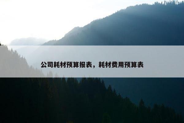 公司耗材预算报表，耗材费用预算表