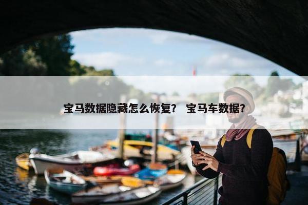 宝马数据隐藏怎么恢复？ 宝马车数据？