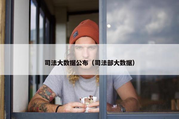 司法大数据公布（司法部大数据）