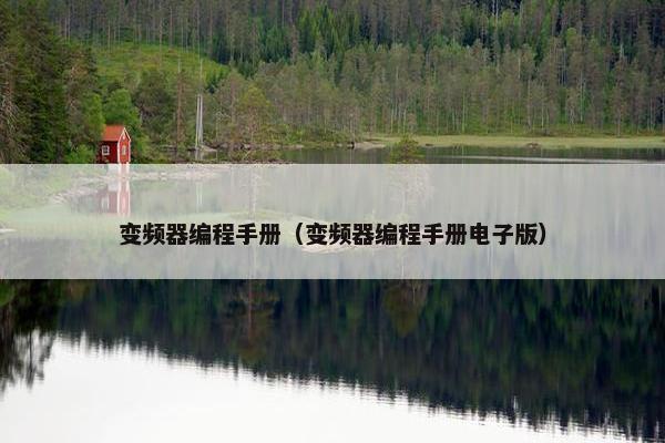 变频器编程手册（变频器编程手册电子版）