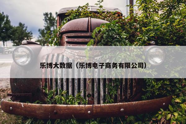 乐博大数据（乐博电子商务有限公司）