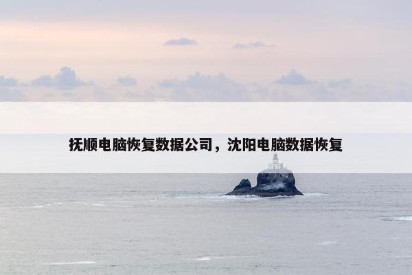 抚顺电脑恢复数据公司，沈阳电脑数据恢复