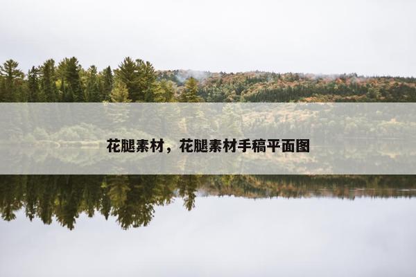 花腿素材，花腿素材手稿平面图