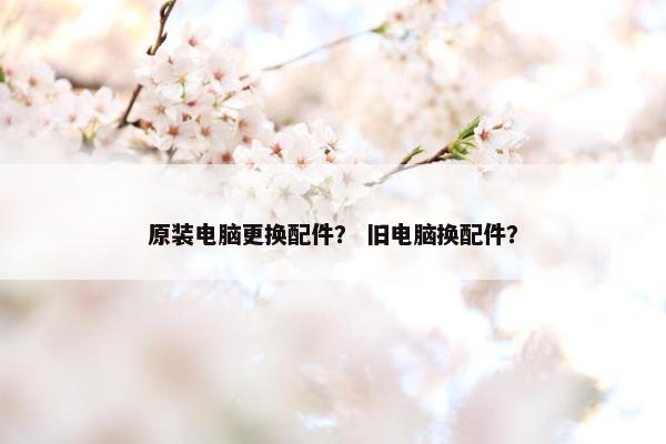 原装电脑更换配件？ 旧电脑换配件？