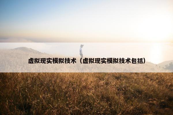 虚拟现实模拟技术（虚拟现实模拟技术包括）