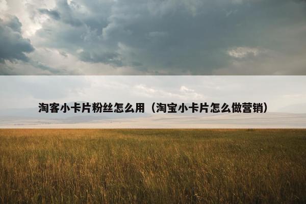 淘客小卡片粉丝怎么用（淘宝小卡片怎么做营销）