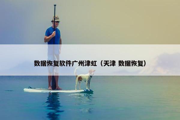数据恢复软件广州津虹（天津 数据恢复）