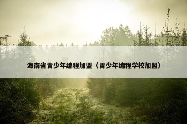 海南省青少年编程加盟（青少年编程学校加盟）