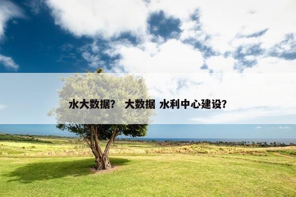 水大数据？ 大数据 水利中心建设？