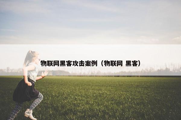 物联网黑客攻击案例（物联网 黑客）