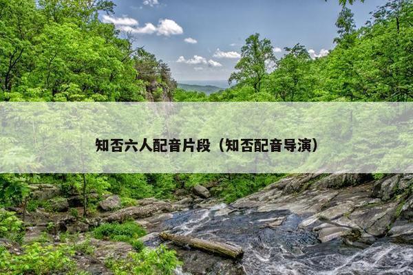 知否六人配音片段（知否配音导演）