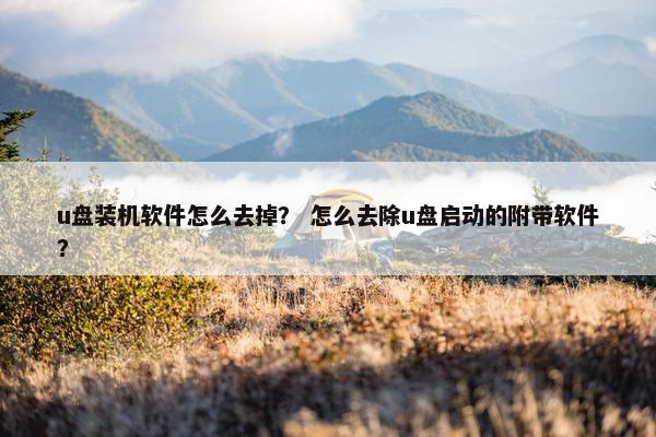 u盘装机软件怎么去掉？ 怎么去除u盘启动的附带软件？