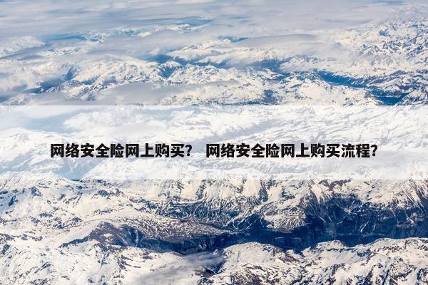 网络安全险网上购买？ 网络安全险网上购买流程？