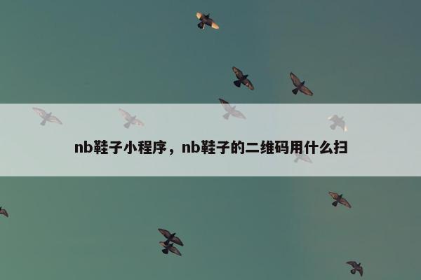 nb鞋子小程序，nb鞋子的二维码用什么扫