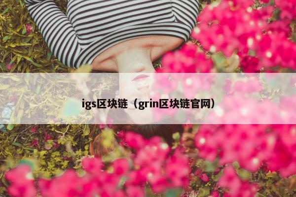 igs区块链（grin区块链官网）