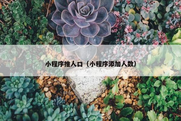 小程序推人口（小程序添加人数）