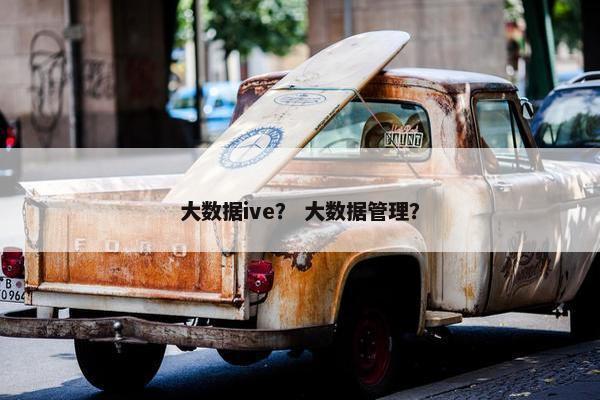 大数据ive？ 大数据管理？