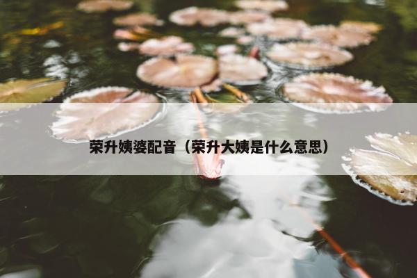 荣升姨婆配音（荣升大姨是什么意思）