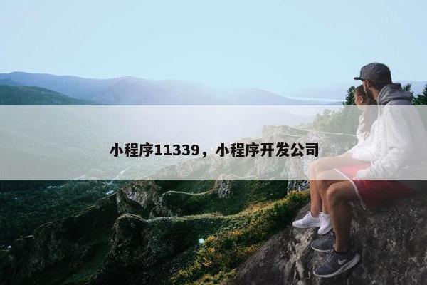 小程序11339，小程序开发公司