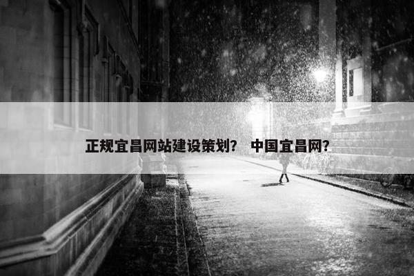 正规宜昌网站建设策划？ 中国宜昌网？