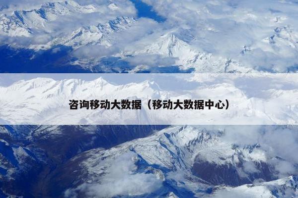 咨询移动大数据（移动大数据中心）