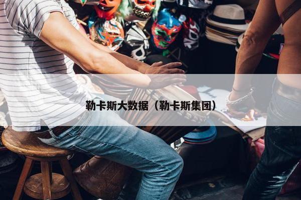 勒卡斯大数据（勒卡斯集团）
