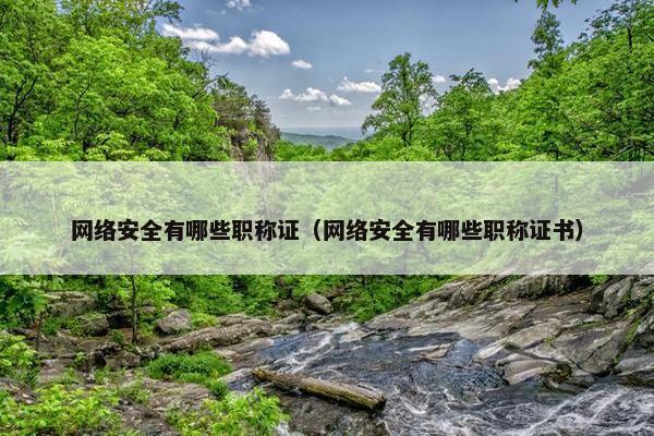 网络安全有哪些职称证（网络安全有哪些职称证书）