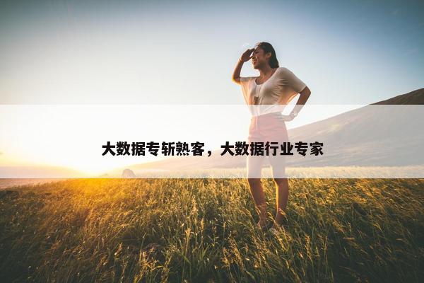 大数据专斩熟客，大数据行业专家