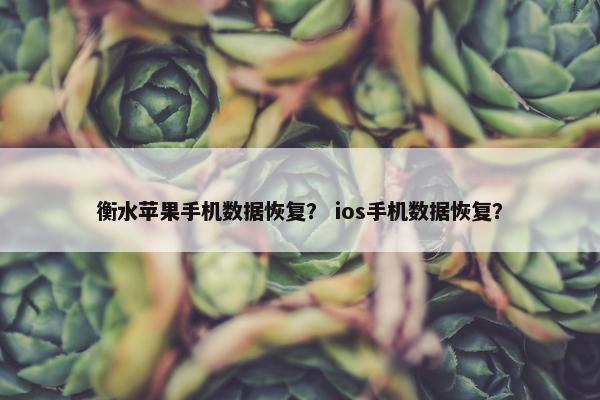 衡水苹果手机数据恢复？ ios手机数据恢复？