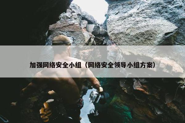 加强网络安全小组（网络安全领导小组方案）
