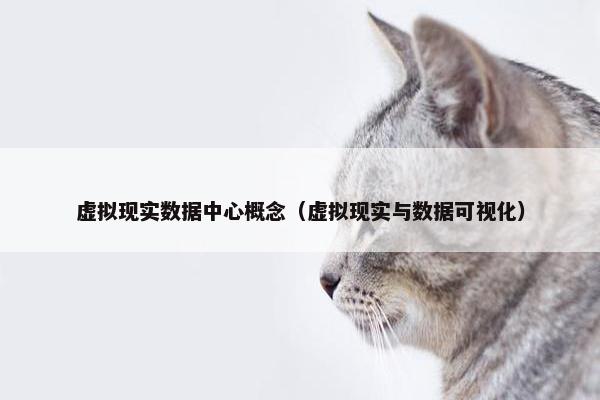 虚拟现实数据中心概念（虚拟现实与数据可视化）
