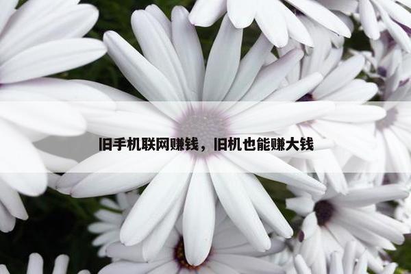 旧手机联网赚钱，旧机也能赚大钱
