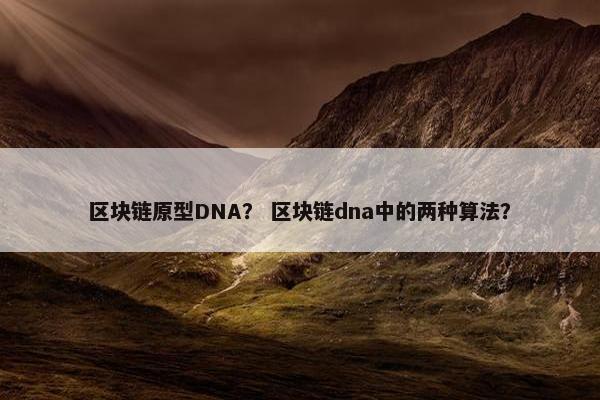 区块链原型DNA？ 区块链dna中的两种算法？