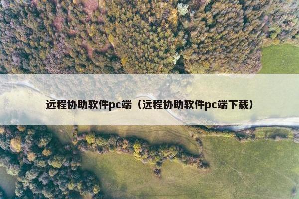 远程协助软件pc端（远程协助软件pc端下载）