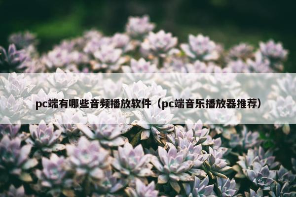 pc端有哪些音频播放软件（pc端音乐播放器推荐）
