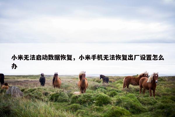 小米无法启动数据恢复，小米手机无法恢复出厂设置怎么办