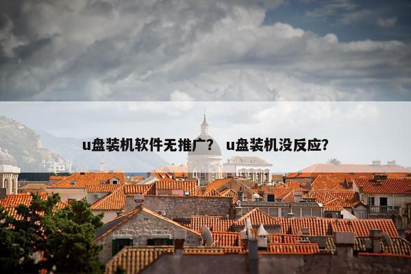 u盘装机软件无推广？ u盘装机没反应？