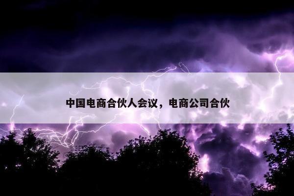 中国电商合伙人会议，电商公司合伙