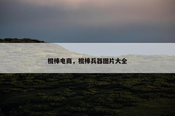 棍棒电商，棍棒兵器图片大全