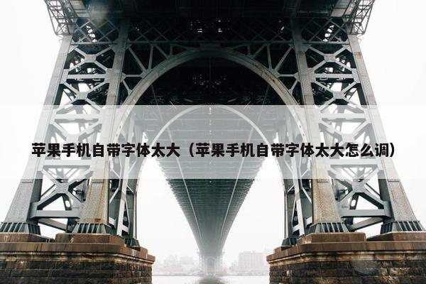 苹果手机自带字体太大（苹果手机自带字体太大怎么调）