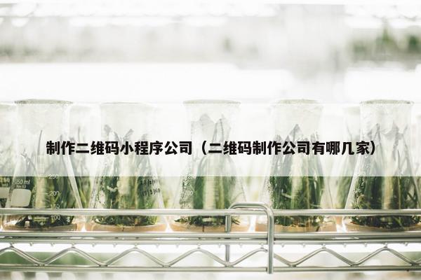 制作二维码小程序公司（二维码制作公司有哪几家）