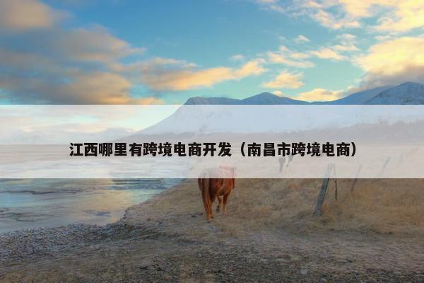 江西哪里有跨境电商开发（南昌市跨境电商）