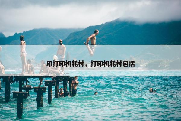 印打印机耗材，打印机耗材包括